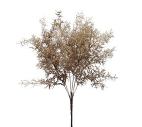 Zeleň asparát hnedý 56cm