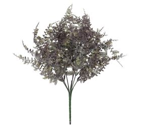 Zeleň papraď modro-sivá 40cm