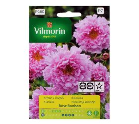 Krasuľka rose bonbon 0,5g