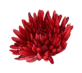 Hlava chryzantéma tm.bordová 15cm bal:12ks