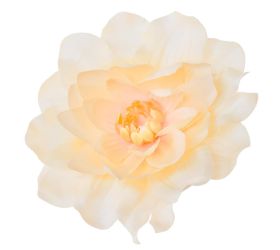 Hlava dahlia losos p:12cm bal:12ks