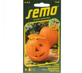 Tekvica okrasná halloween 2g