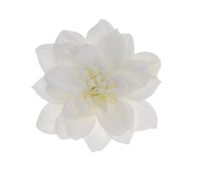 Hlava dahlia 14cm bal.12ks biela