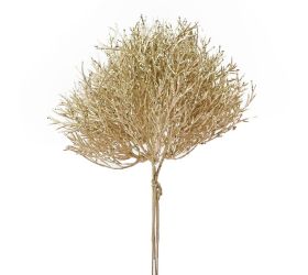 Zeleň coral šampaň x3 20cm