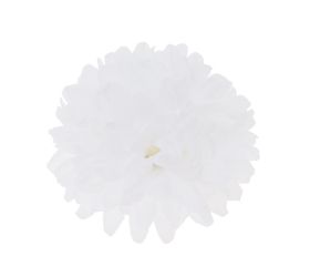 Hlava chryzantéma biela 10cm