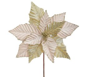 Ks vianočná ruža šampaň 30cm