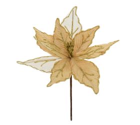 Ks vianočná ruža zlatá 25cm