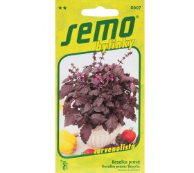 Bazalka purple opaal 1g