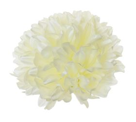 Hlava chryzantéma krém  12cm bal:12ks