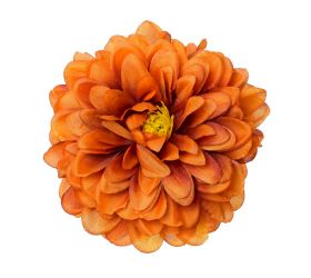 Hlava dahlia oranžová p:10cm bal:12ks