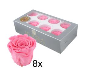 Ruža preparovaná 5cm baby pink /ks - bal. 8 ks