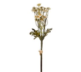 Kytica tanacetum krémové 43cm