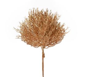 Zeleň coral zlatý x3 20cm