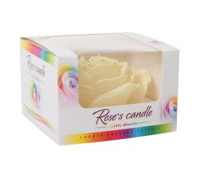 Ruža nízka dioda ecru