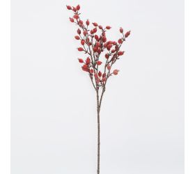 Konár šípky bordové 65cm