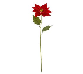Ks vianočná ruža červená 60cm