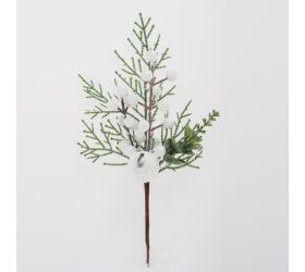 Zápic tuja, eucal., bie. jablko, bobule, ľad 27cm