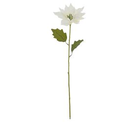 Ks vianočná ruža biela 60cm