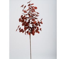 Konár eucalyptus cinerea bordový 70cm