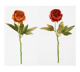 Ks pivonka, zeleň mix/2f 40cm