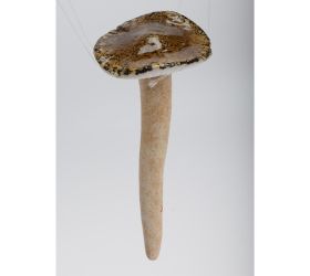 Hríb zel/bie keram. 6,8*6,8*17,6cm