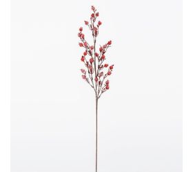 Konár šípky červený, ľad 65cm