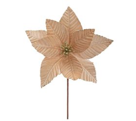 Zápich vianočná ruža šampaň zamat 37cm