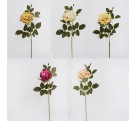 Ks ruža veľkokvetá, zeleň, mix/5f 68cm