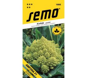 Karfiol amfora f1/veronica f1 10s