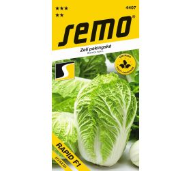 Kapusta pekingská rapid f1 50s