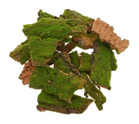 Kôra s machom 100g/5-10cm/31can81fu-100