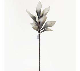 Ks kvet pena sivá 80cm