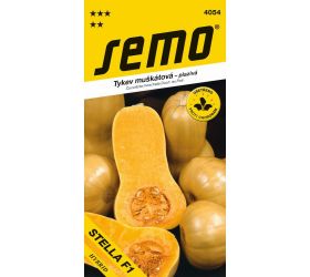 Tekvica stella f1 2g