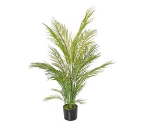 Zeleň palma v črepníku 120cm