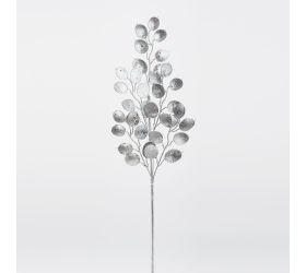 Konár lunária strieborná 62cm