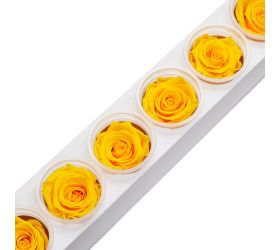 Ruža preparovaná 6,5cm sunny yellow /ks - bal. 6 ks