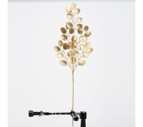 Konár lunária zlatá 62 cm