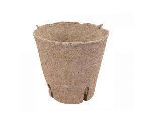 Rašel.sadb.okrúhly 8cm en