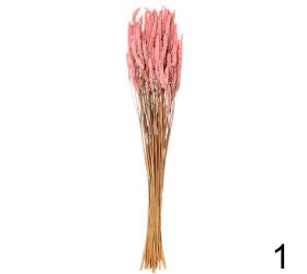 Celosia sušená mix farba/zv.