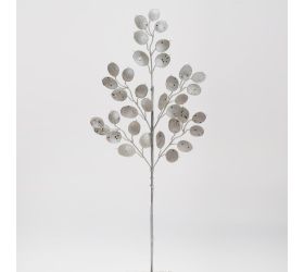 Konár lunária biela 62cm