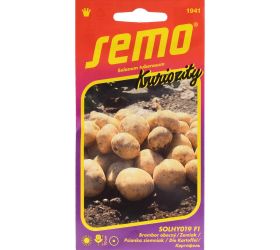 Zemiak obecný 14pel.