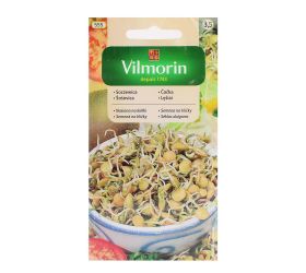 Šošovica semená na klíčky 20g