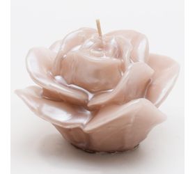 Ruža rozkvitnutá cappucino 7x9x9cm