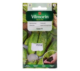 Uhorka nakl.cezar f1 50serm. 1,5g