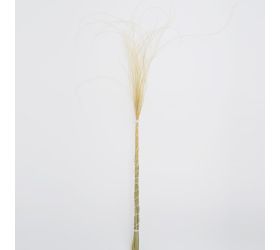 Stypha - pierko natural/zv