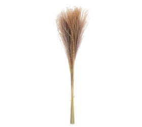 Tráva sušina natural