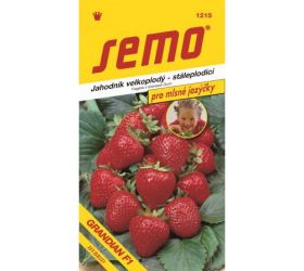 Jahoda grandian f1 12s