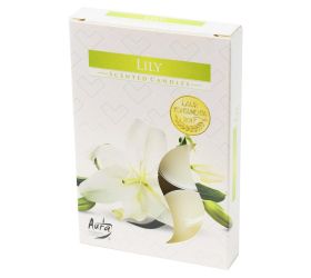 Čajové voňavé/6 ľalia /nová/