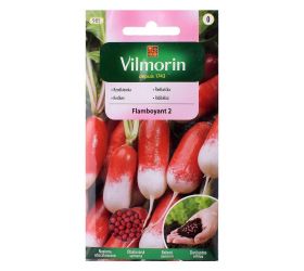 Reďkovka flamboyant červ.-biela 300.sem 3g