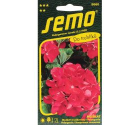 Pelargonium zonale červený 0,05g